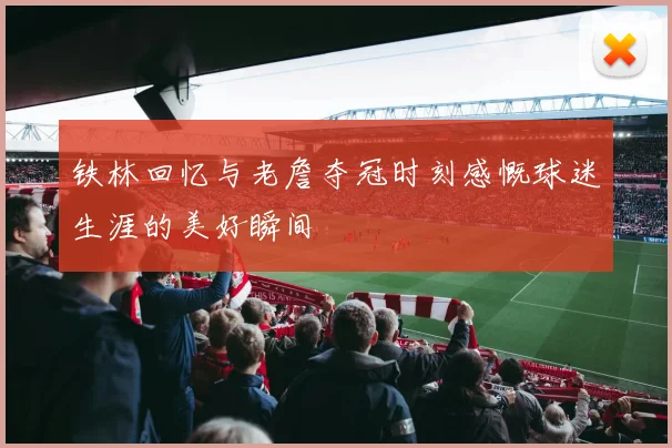 铁林回忆与老詹夺冠时刻感慨球迷生涯的美好瞬间