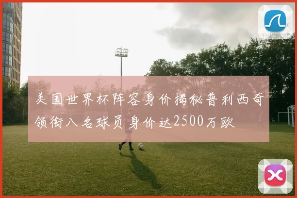 美国世界杯阵容身价揭秘普利西奇领衔八名球员身价达2500万欧
