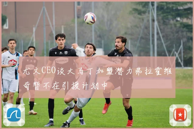 尤文CEO谈大马丁加盟潜力弗拉霍维奇暂不在引援计划中